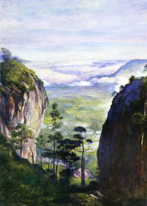 View in Ceylon, near Dambula, Looking Over Rice Fields Oil painting by John La Farge