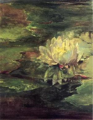Water Lily Among Pads by John La Farge Oil Painting