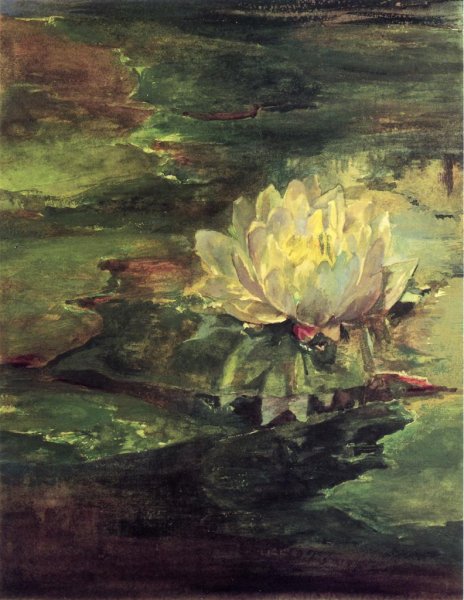 Water Lily Among Pads by John La Farge - Hand-Painted Oil Painting Reproduction
