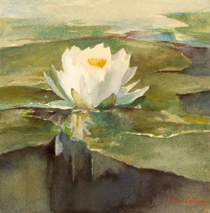 Water Lily in Sunlight by John La Farge Oil Painting