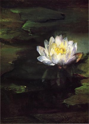 Water-Lily, Study from Nature by John La Farge Oil Painting