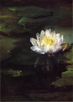 Water-Lily, Study from Nature Oil painting by John La Farge