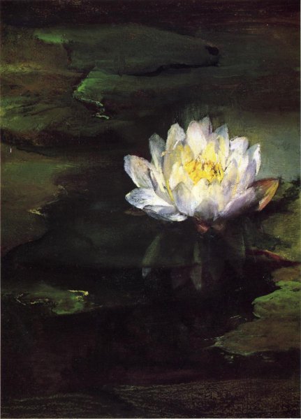 Main Product Photo of Water-Lily, Study from Nature Painting by John La Farge