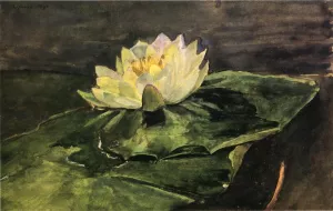 Water Lily by John La Farge - Oil Painting Reproduction