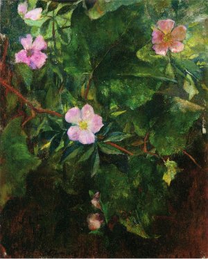Wild Roses and Grape Vine, Study from Nature Oil painting by John La Farge