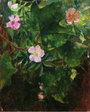 Wild Roses and Grape Vine, Study from Nature by John La Farge Oil Painting