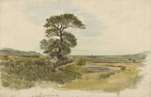 A Landscape in Snowdonia with a Tree in the Foreground by John Linnell Oil Painting