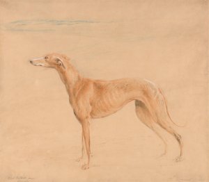 Earl Talbot's Hound, Thomasine by John Linnell Oil Painting