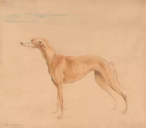 Earl Talbot's Hound, Thomasine by John Linnell Oil Painting