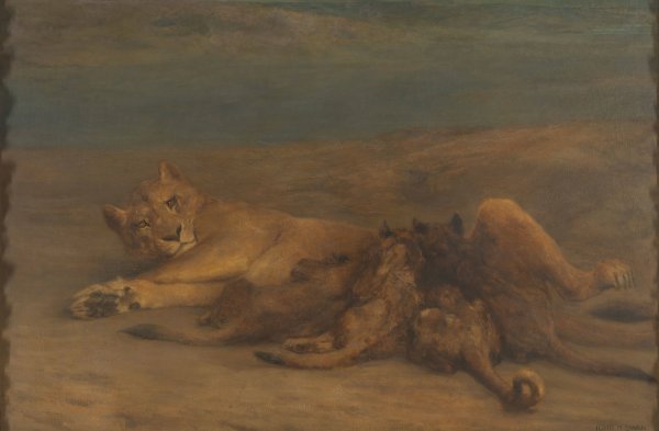 Een leeuwin met vier zogende welpen, genaamd 'Moederliefde' by John Macallan Swan - Hand-Painted Oil Painting Reproduction