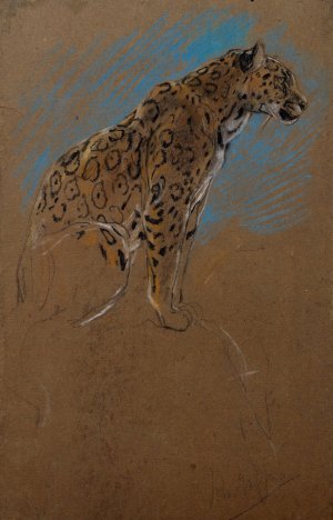 Study of a Jaguar by John Macallan Swan Oil Painting