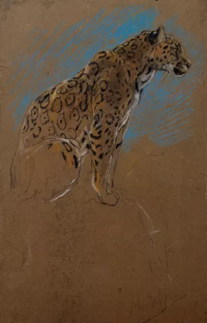 Study of a Jaguar by John Macallan Swan Oil Painting