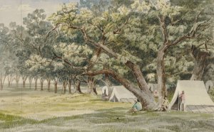 A Cottonwood Grove by John Mix Stanley Oil Painting