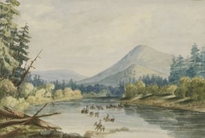 Crossing the Bitter Root by John Mix Stanley Oil Painting