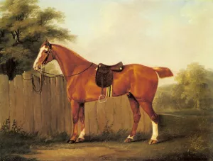 A Chestnut Hunter Tethered to a Fence painting by John Nost Sartorius