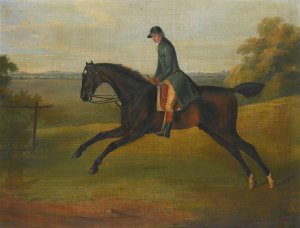 A Hunter Being Excercised By A Groom by John Nost Sartorius Oil Painting