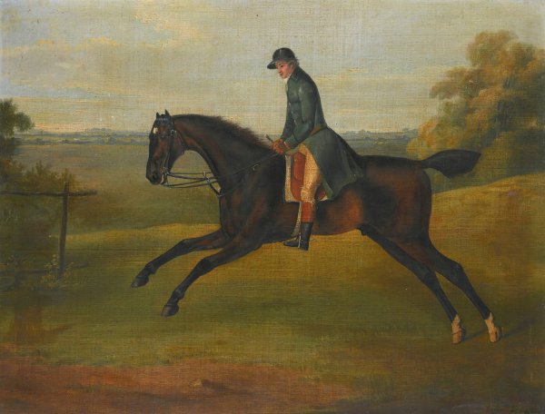 Main Product Photo of A Hunter Being Excercised By A Groom  Painting by John Nost Sartorius