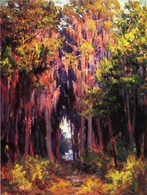 Hanging Moss, St. Petersburg Oil painting by John Ottis Adams