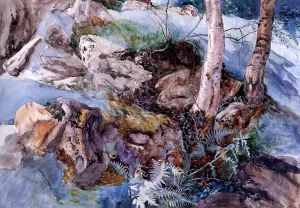 Study of the Rocks and Ferns, Crossmouth by John Ruskin - Oil Painting Reproduction