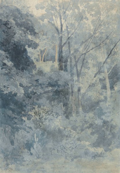 Main Product Photo of In Rokeby Park  Painting by John Sell Cotman