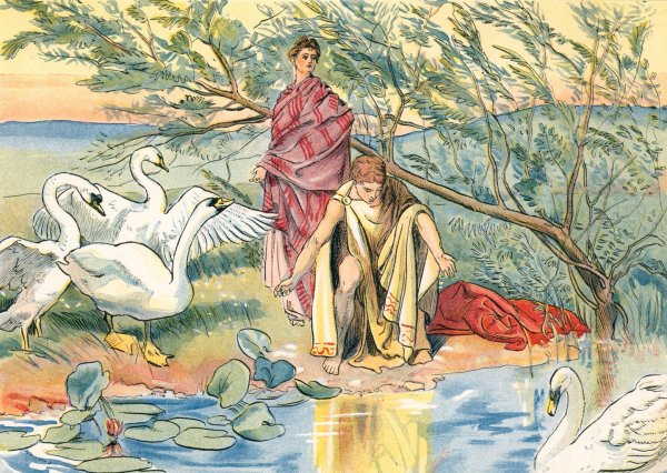 Narcissus  by John Shelton Eland - Hand-Painted Oil Painting Reproduction