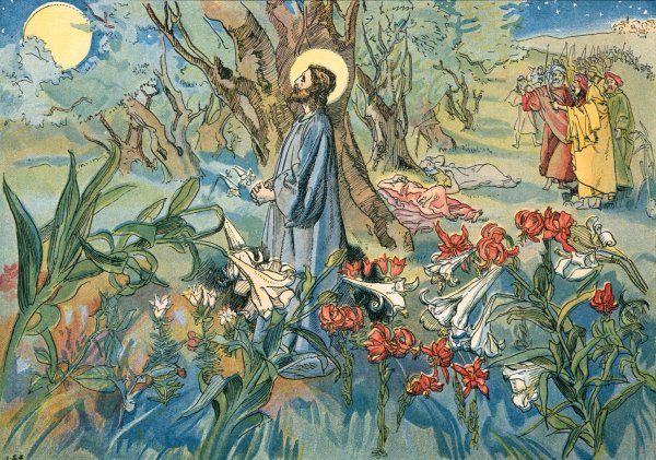 The Red Lily  by John Shelton Eland - Hand-Painted Oil Painting Reproduction