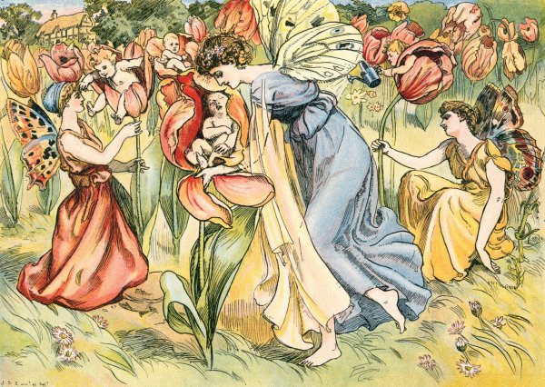 The Tulip  by John Shelton Eland - Hand-Painted Oil Painting Reproduction
