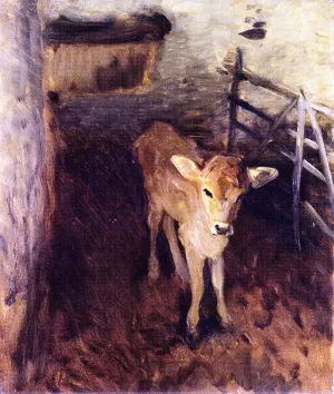 A Jersey Calf by John Singer Sargent Oil Painting