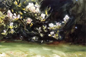 Magnolias by John Singer Sargent - Oil Painting Reproduction
