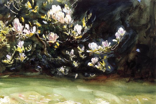 Main Product Photo of Magnolias Painting by John Singer Sargent