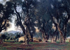 Olive Trees at Corfu