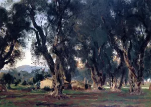 Olive Trees at Corfu by John Singer Sargent - Oil Painting Reproduction