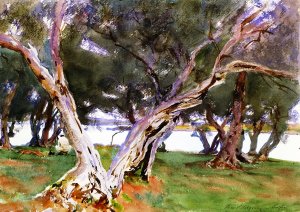 Olive Trees, Corfu by John Singer Sargent Oil Painting