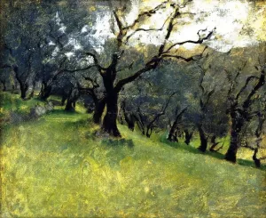 Olive Trees by John Singer Sargent Oil Painting