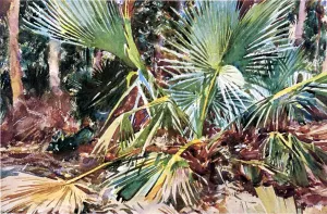 Palmettos, Florida by John Singer Sargent - Oil Painting Reproduction