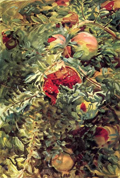 Pomegranates by John Singer Sargent - Hand-Painted Oil Painting Reproduction
