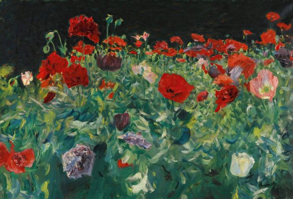 Poppies  by John Singer Sargent - Hand-Painted Oil Painting Reproduction