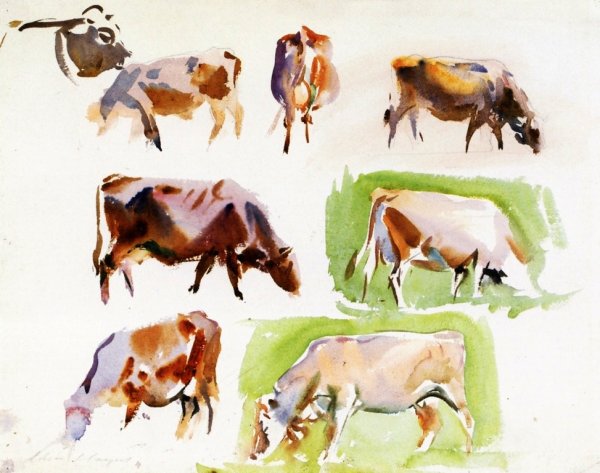 Main Product Photo of Studies of Cows also known as Studies of Oxen Painting by John Singer Sargent