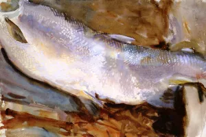 Study of Salmon 2 by John Singer Sargent Oil Painting