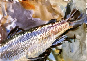 Study of Salmon 3 by John Singer Sargent Oil Painting