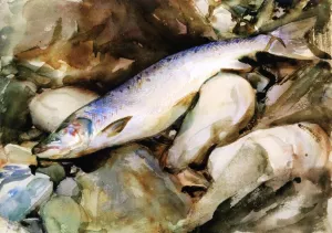 Study of Salmon by John Singer Sargent Oil Painting