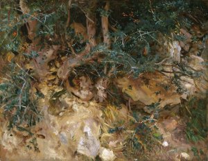 Valdemosa,Majorca - Thistles and Herbage on a Hillside by John Singer Sargent Oil Painting