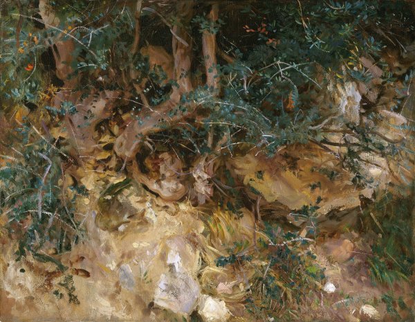 Valdemosa,Majorca - Thistles and Herbage on a Hillside  by John Singer Sargent - Hand-Painted Oil Painting Reproduction