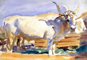 White Ox at Siena by John Singer Sargent - Oil Painting Reproduction