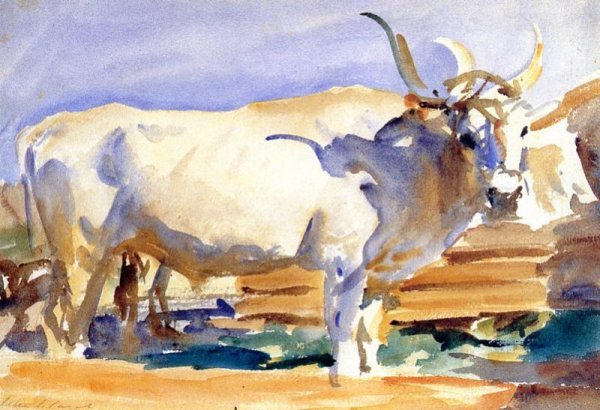 Main Product Photo of White Ox at Siena Painting by John Singer Sargent