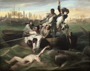 Watson and the Shark by John Singleton Copley Oil Painting