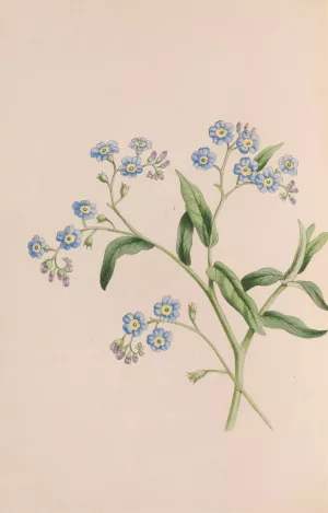 Grass by John Stevens Henslow Grass by John Stevens Henslow Oil Painting