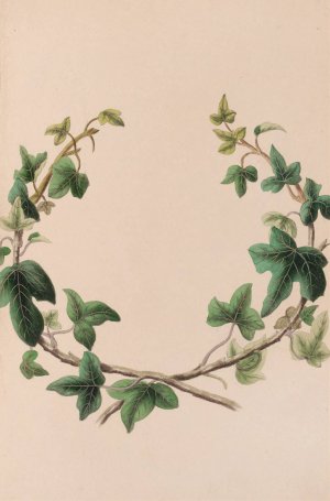 Wreath Of Ivy by John Stevens Henslow Oil Painting