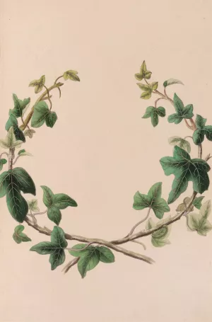 Wreath Of Ivy by John Stevens Henslow Wreath Of Ivy by John Stevens Henslow Oil Painting
