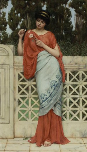 He Loves Me, He Loves Me Not by John William Godward Oil Painting